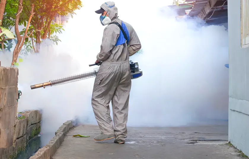 Tratamiento de moscas en Rubí — EcoPest