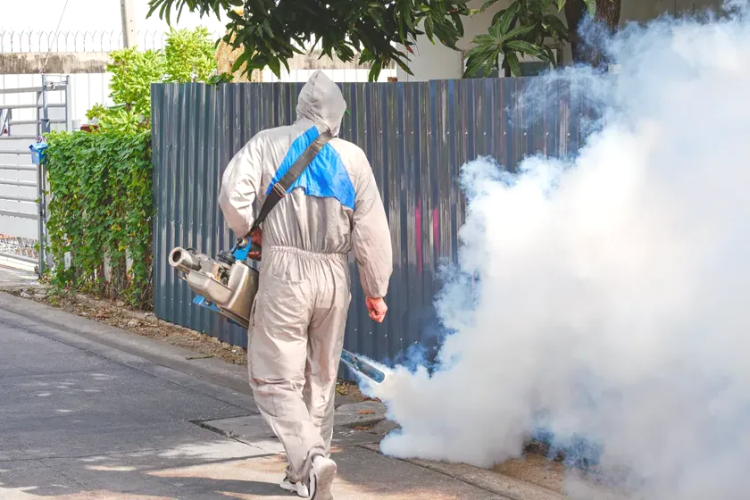 Tratamiento de mosquitos en Rubí — EcoPest
