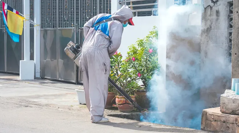 Control de plagas para viviendas particulares en Rubí — EcoPest